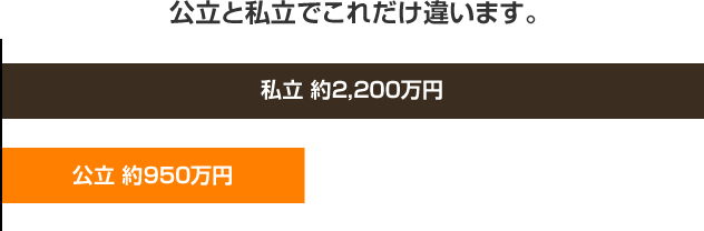 公立と私立でこれだけ違います。