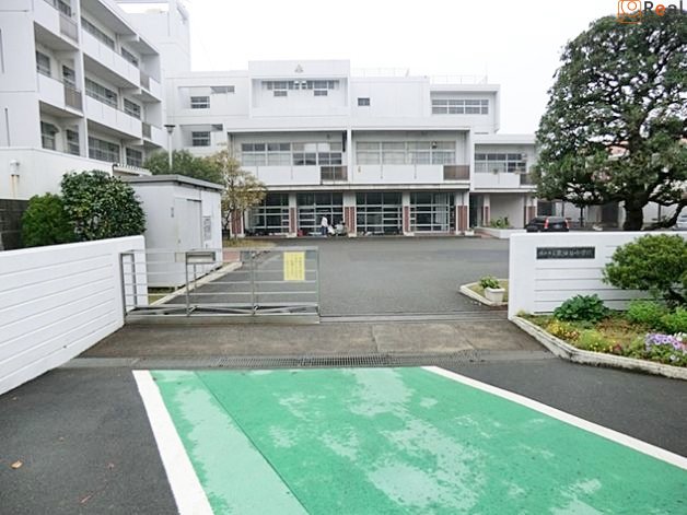 ���ͻ�Ω����ë��ع� ����19ʬ�� 1460m