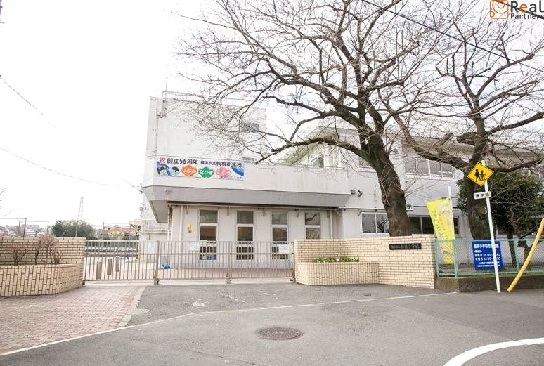 ���ͻ�Ω���Ӿ��ع� ����10ʬ�� 800m