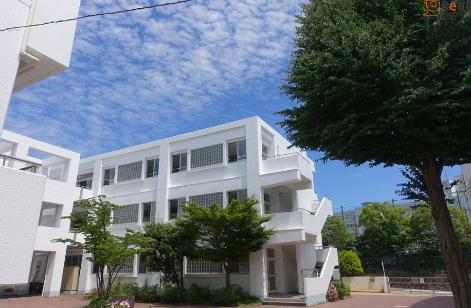 ���ͻ�Ω���ë��ع� ����10ʬ�� 740m