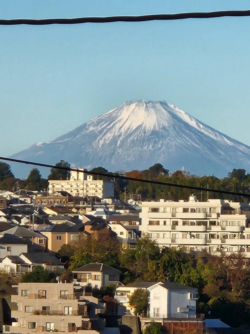 ŷ�����������ˤ��ٻλ���˾��ޤ������������į˾���ɹ��Ǥ���