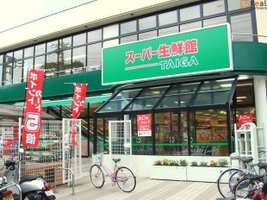 �����ѡ�������TAIGA����Ź ����11ʬ�� 880m