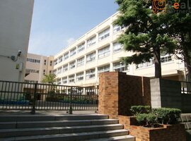 ���ͻ�Ω�𲬾��ع� ����10ʬ�� 780m