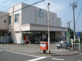 �桼�����׿���Ź�ޤ�����7ʬ��516��