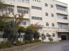 ���羮�ع��ޤ�����10ʬ��737��