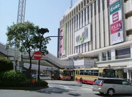 ���ͱؤޤǥХ�����ʬ���βȣ����ܡ����⣳ʬ��2900��