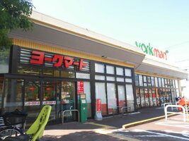 �衼���ޡ������һ�Ź�ޤ�����3ʬ��177��