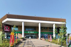 ���ߥåȥ��ȥ����Ͳ���Ź.�ޤ�����4ʬ��288��