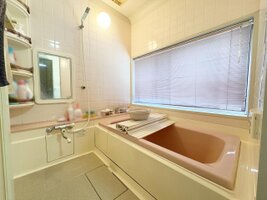 �����������뤿�ᡢ���������ޤ�ޤ���