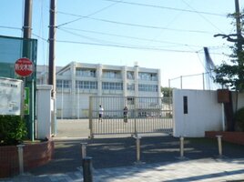 ����澮�ع��ޤ�����4ʬ��305��