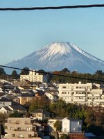 ŷ�����������ˤ��ٻλ���˾��ޤ�