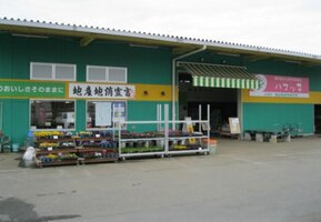 JA���� �֥ϥޥûҡ�ľ��� ��ëŹ�ޤ����⣸ʬ��576m