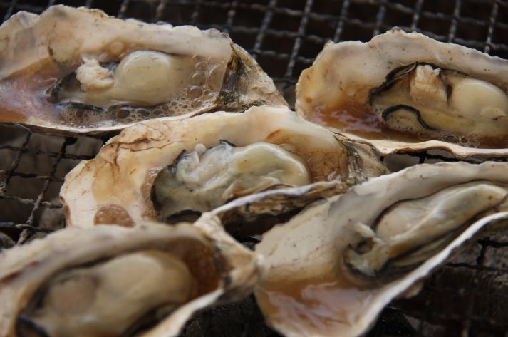 �ߤʤȤߤ餤�Ρإߥ륯��