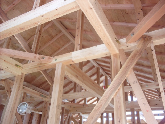 ����Ǥ��Ͽ̤Υꥹ������ޤäƤ��롩�Ȳ��ݲ����Ȥ��ˤ�