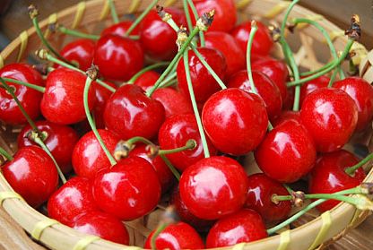 �Ƥβ̼¤Ϥ�����������