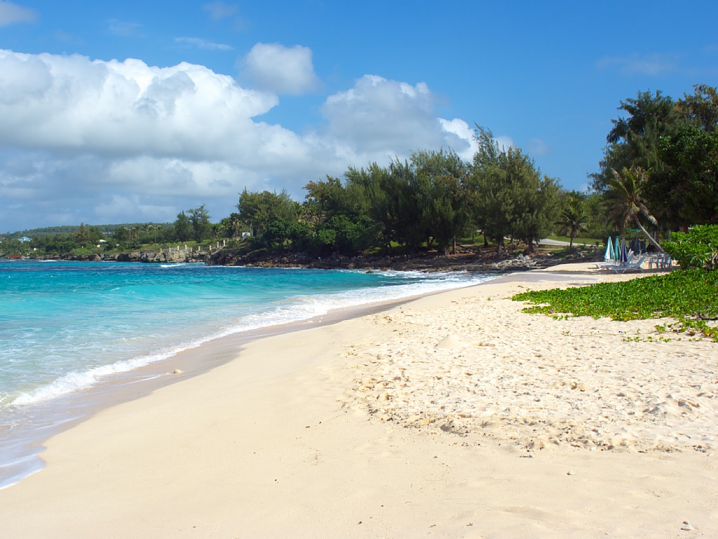 �Ƶ٤ߤΤ�ͽ��Ϥ���ޤ�Ǥ�����