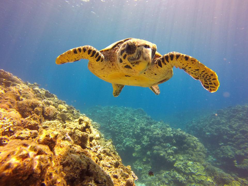 �⤦�����Ƶ٤ߤ⽪���Ǥ��͡�