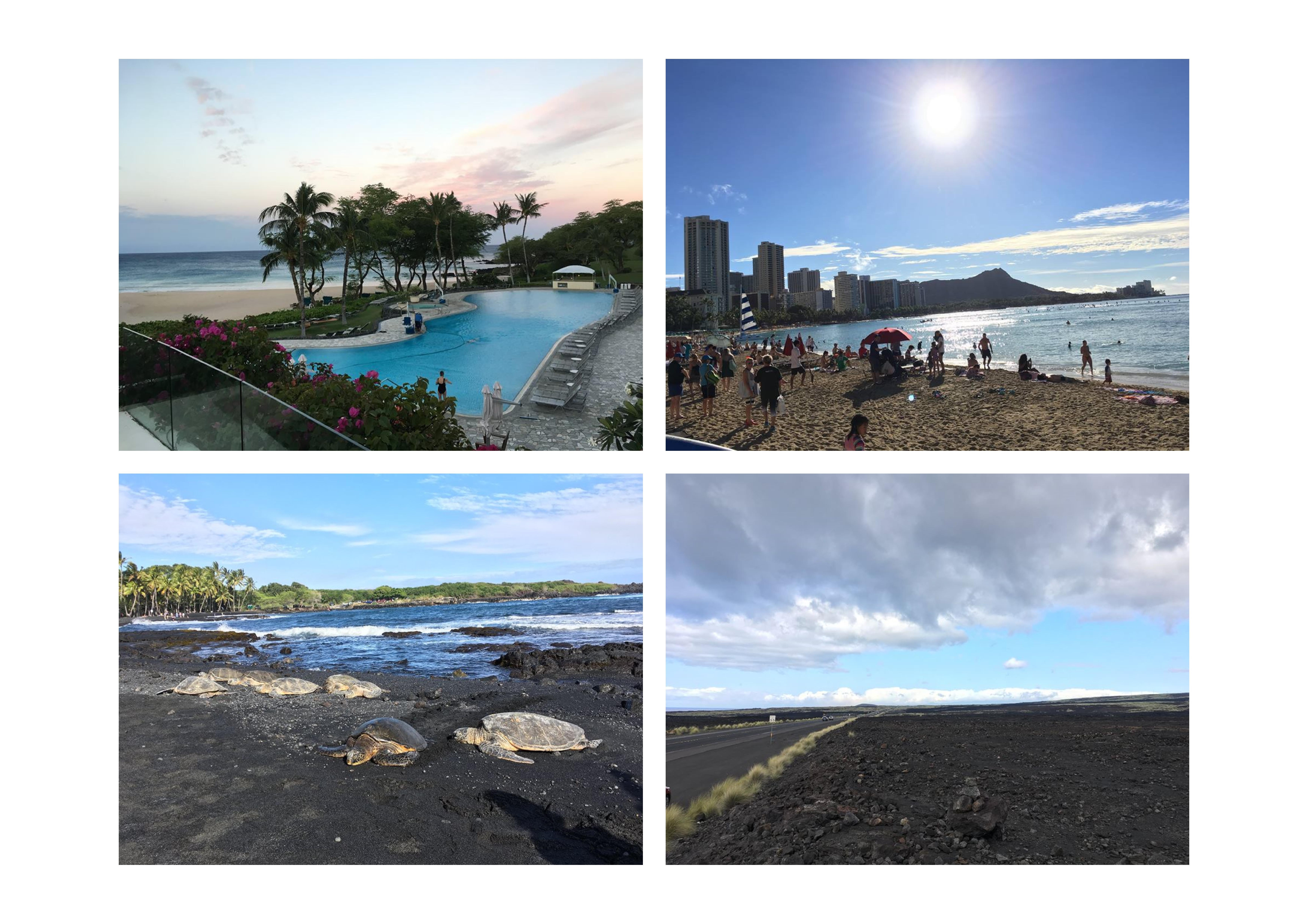 ��ǯ��ꥢ��ѡ��ȥʡ����򵹤������ꤤ���ޤ���