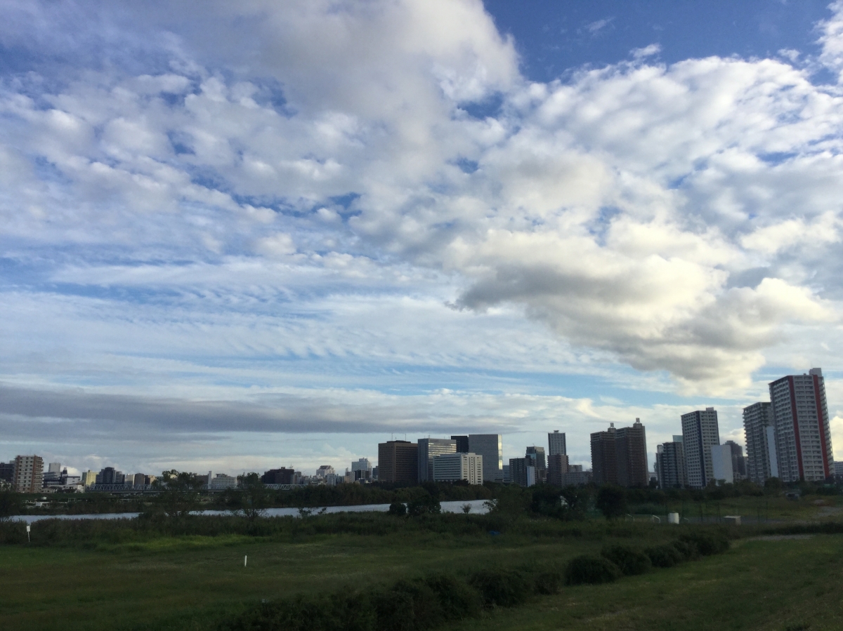 ���Ԥ�̤����ʪ���õ���� �� ���¤�峲 ���¤�