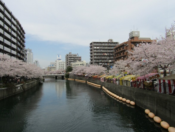 ���ӡ���������Į�����襤�ȡ����μ�˴��Ťʽ����Ϥ����������ν�Į�ء�